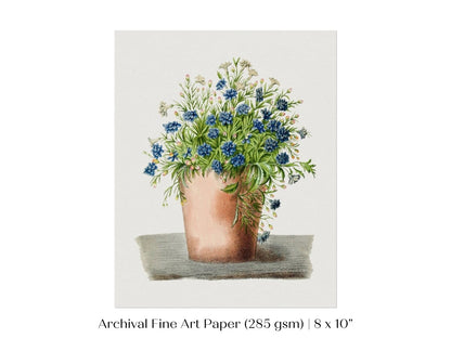 Blue Garden Lobelia in a Pot | P160 - Single Art Prints - Piccolo Fiore Prints