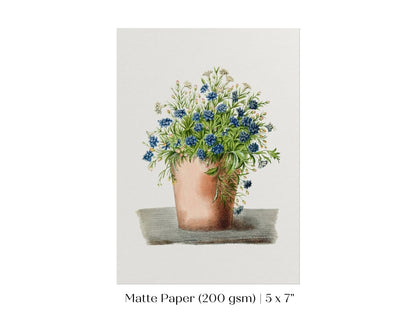 Blue Garden Lobelia in a Pot | P160 - Single Art Prints - Piccolo Fiore Prints