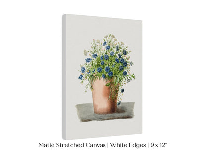 Blue Garden Lobelia in a Pot | P160 - Single Art Prints - Piccolo Fiore Prints