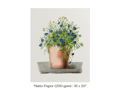 Blue Garden Lobelia in a Pot | P160 - Single Art Prints - Piccolo Fiore Prints