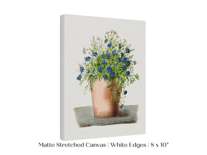 Blue Garden Lobelia in a Pot | P160 - Single Art Prints - Piccolo Fiore Prints