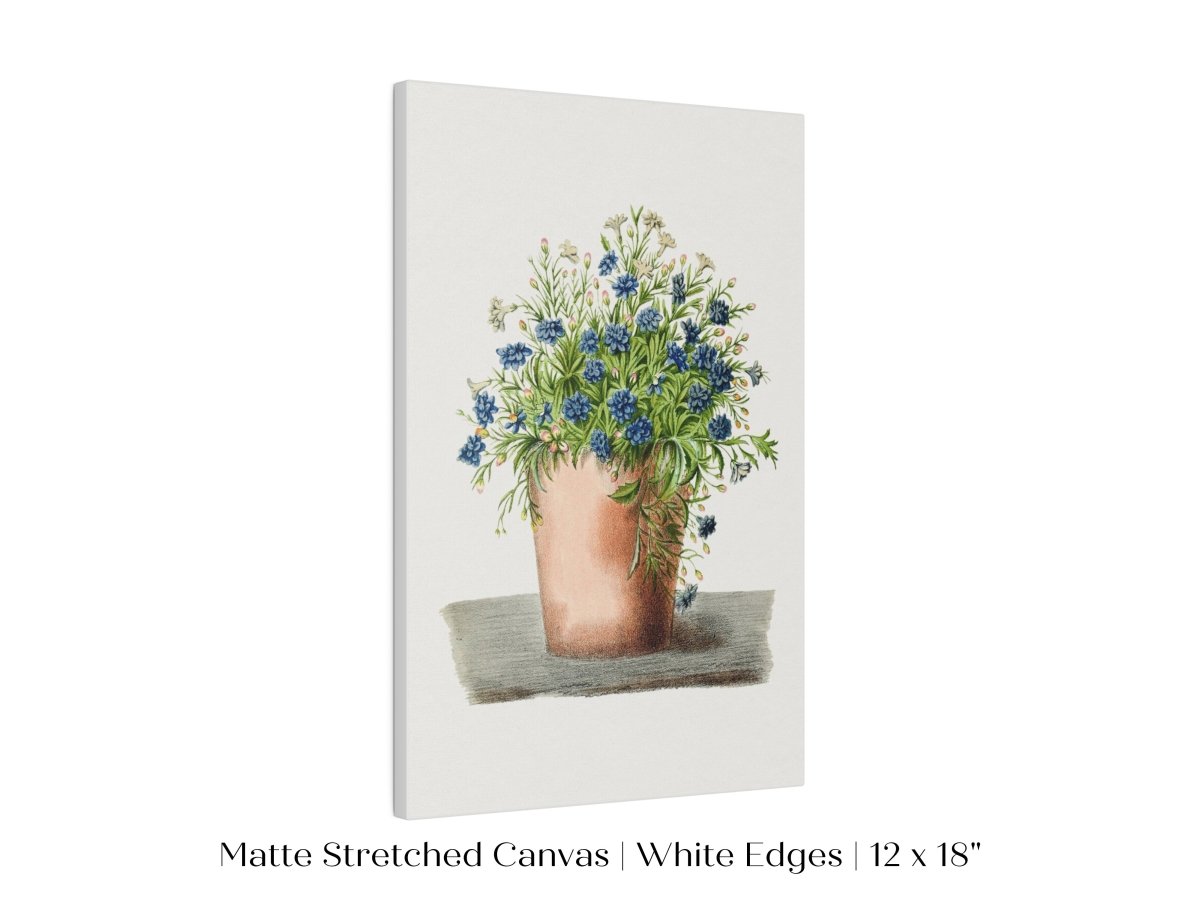 Blue Garden Lobelia in a Pot | P160 - Single Art Prints - Piccolo Fiore Prints