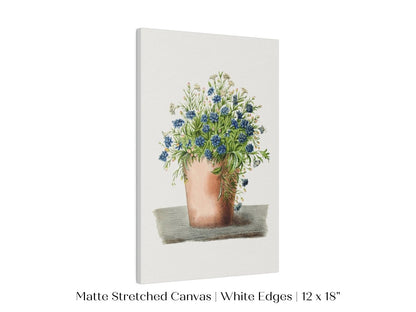 Blue Garden Lobelia in a Pot | P160 - Single Art Prints - Piccolo Fiore Prints