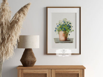 Blue Garden Lobelia in a Pot | P160 - Single Art Prints - Piccolo Fiore Prints