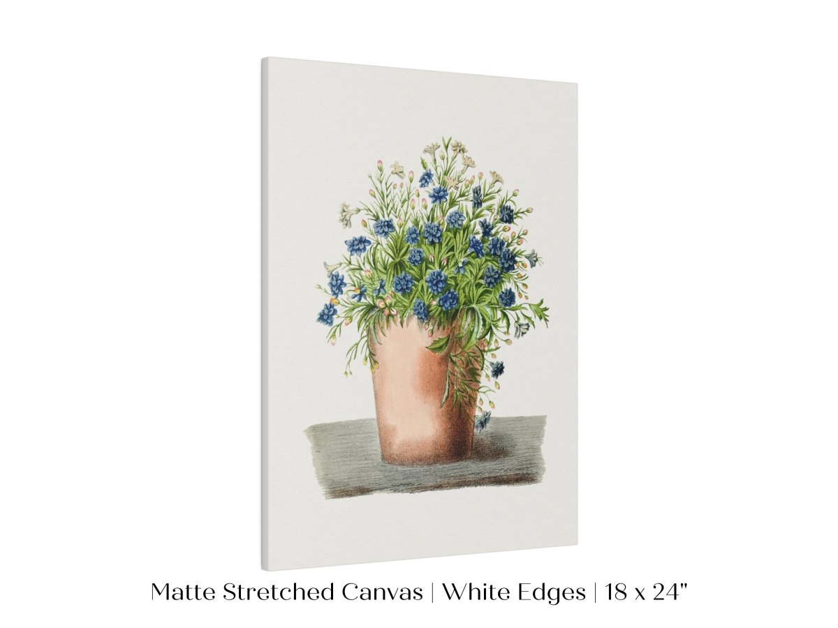 Blue Garden Lobelia in a Pot | P160 - Single Art Prints - Piccolo Fiore Prints