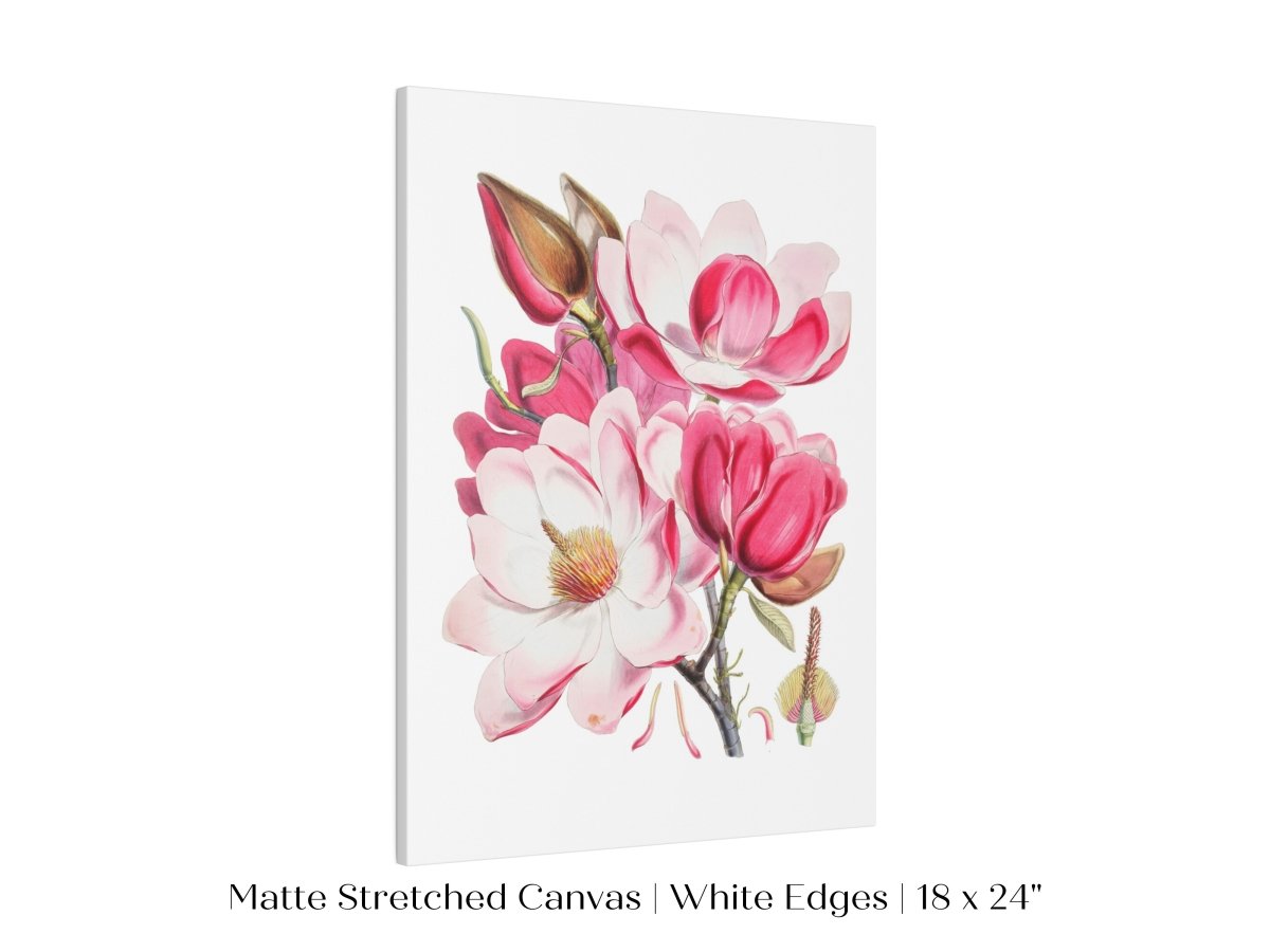 Bright Pink Magnolia Illustration | P47 - Single Art Prints - Piccolo Fiore Prints
