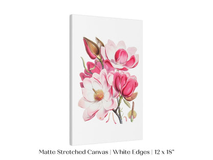 Bright Pink Magnolia Illustration | P47 - Single Art Prints - Piccolo Fiore Prints