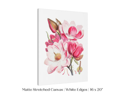 Bright Pink Magnolia Illustration | P47 - Single Art Prints - Piccolo Fiore Prints