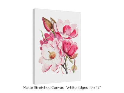 Bright Pink Magnolia Illustration | P47 - Single Art Prints - Piccolo Fiore Prints