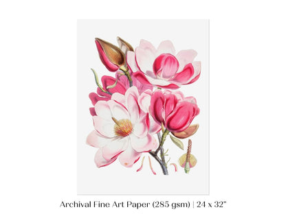 Bright Pink Magnolia Illustration | P47 - Single Art Prints - Piccolo Fiore Prints