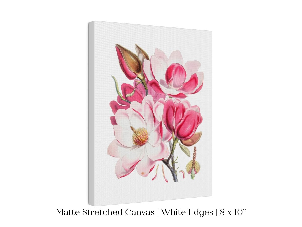 Bright Pink Magnolia Illustration | P47 - Single Art Prints - Piccolo Fiore Prints