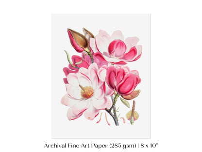Bright Pink Magnolia Illustration | P47 - Single Art Prints - Piccolo Fiore Prints
