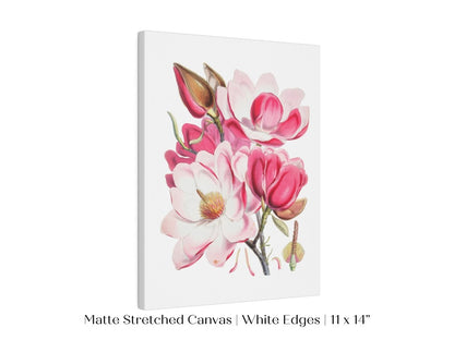Bright Pink Magnolia Illustration | P47 - Single Art Prints - Piccolo Fiore Prints