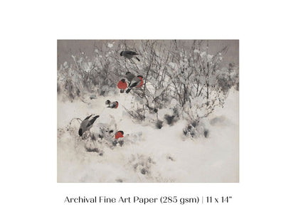 Bullfinches in the Snow | P443 - Single Art Prints - Piccolo Fiore Prints