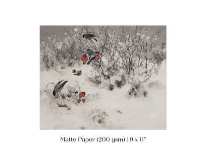Bullfinches in the Snow | P443 - Single Art Prints - Piccolo Fiore Prints