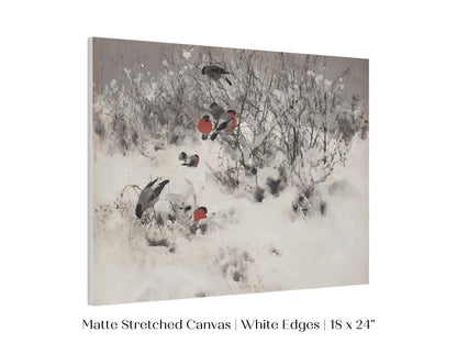 Bullfinches in the Snow | P443 - Single Art Prints - Piccolo Fiore Prints