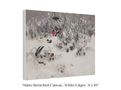 Bullfinches in the Snow | P443 - Single Art Prints - Piccolo Fiore Prints