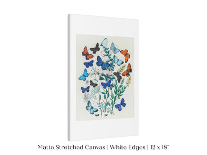 Butterflies and Caterpillars | P101 - Single Art Prints - Piccolo Fiore Prints
