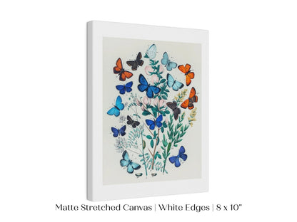 Butterflies and Caterpillars | P101 - Single Art Prints - Piccolo Fiore Prints