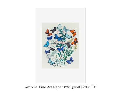 Butterflies and Caterpillars | P101 - Single Art Prints - Piccolo Fiore Prints