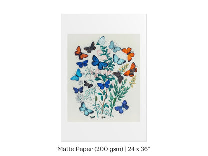 Butterflies and Caterpillars | P101 - Single Art Prints - Piccolo Fiore Prints