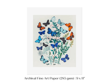 Butterflies and Caterpillars | P101 - Single Art Prints - Piccolo Fiore Prints