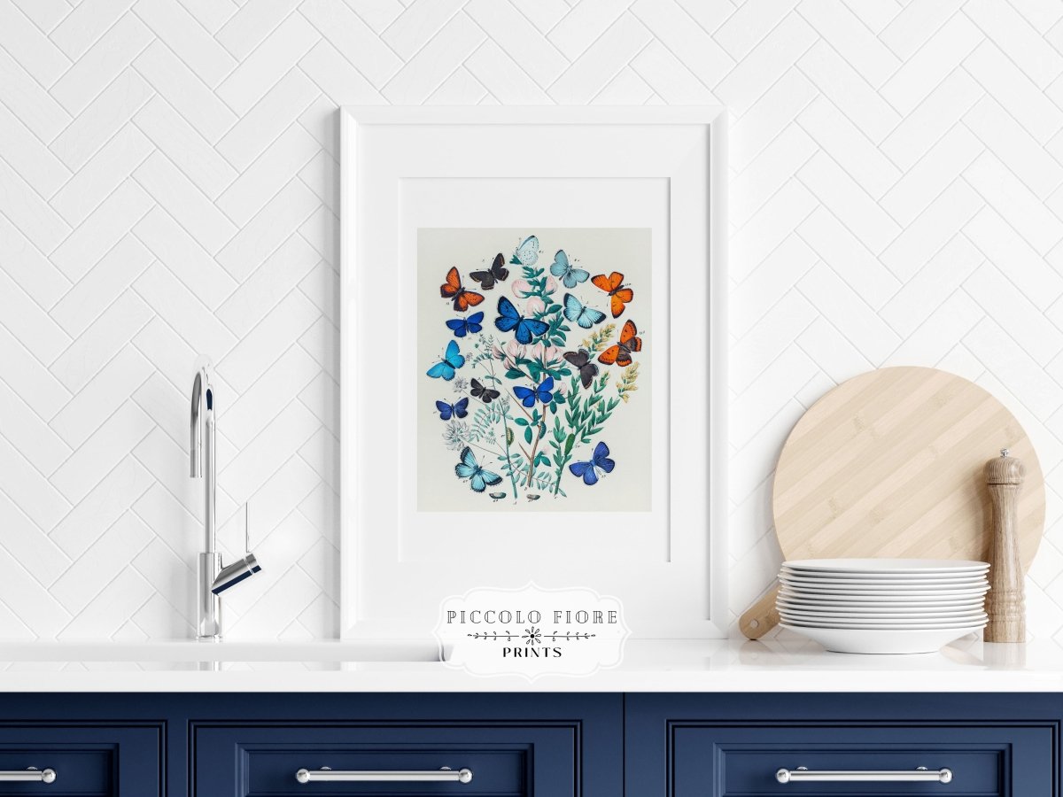 Butterflies and Caterpillars | P101 - Single Art Prints - Piccolo Fiore Prints