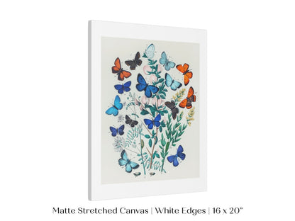 Butterflies and Caterpillars | P101 - Single Art Prints - Piccolo Fiore Prints
