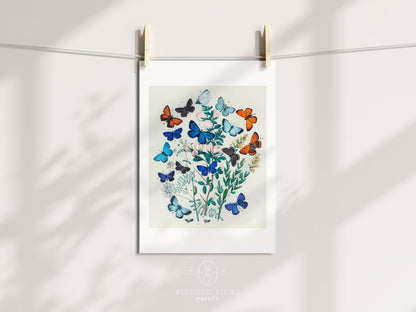 Butterflies and Caterpillars | P101 - Single Art Prints - Piccolo Fiore Prints