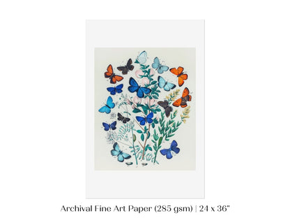 Butterflies and Caterpillars | P101 - Single Art Prints - Piccolo Fiore Prints