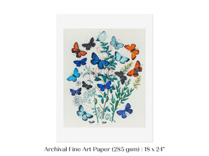 Butterflies and Caterpillars | P101 - Single Art Prints - Piccolo Fiore Prints