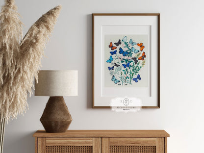 Butterflies and Caterpillars | P101 - Single Art Prints - Piccolo Fiore Prints