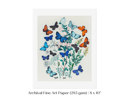 Butterflies and Caterpillars | P101 - Single Art Prints - Piccolo Fiore Prints