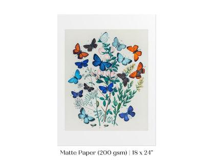 Butterflies and Caterpillars | P101 - Single Art Prints - Piccolo Fiore Prints