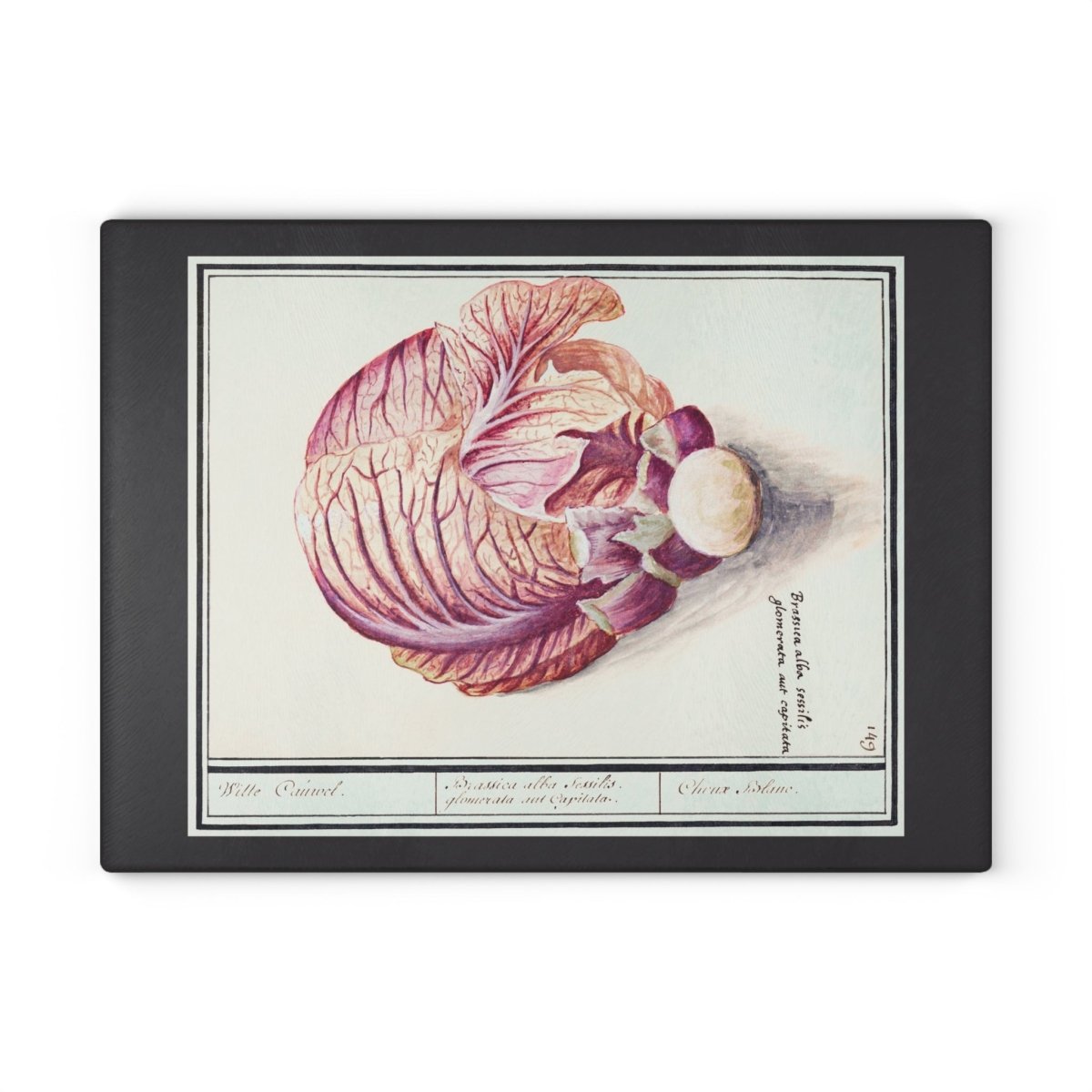 Cabbage | Glass Chopping Board - Glass Chopping Board - Piccolo Fiore Prints