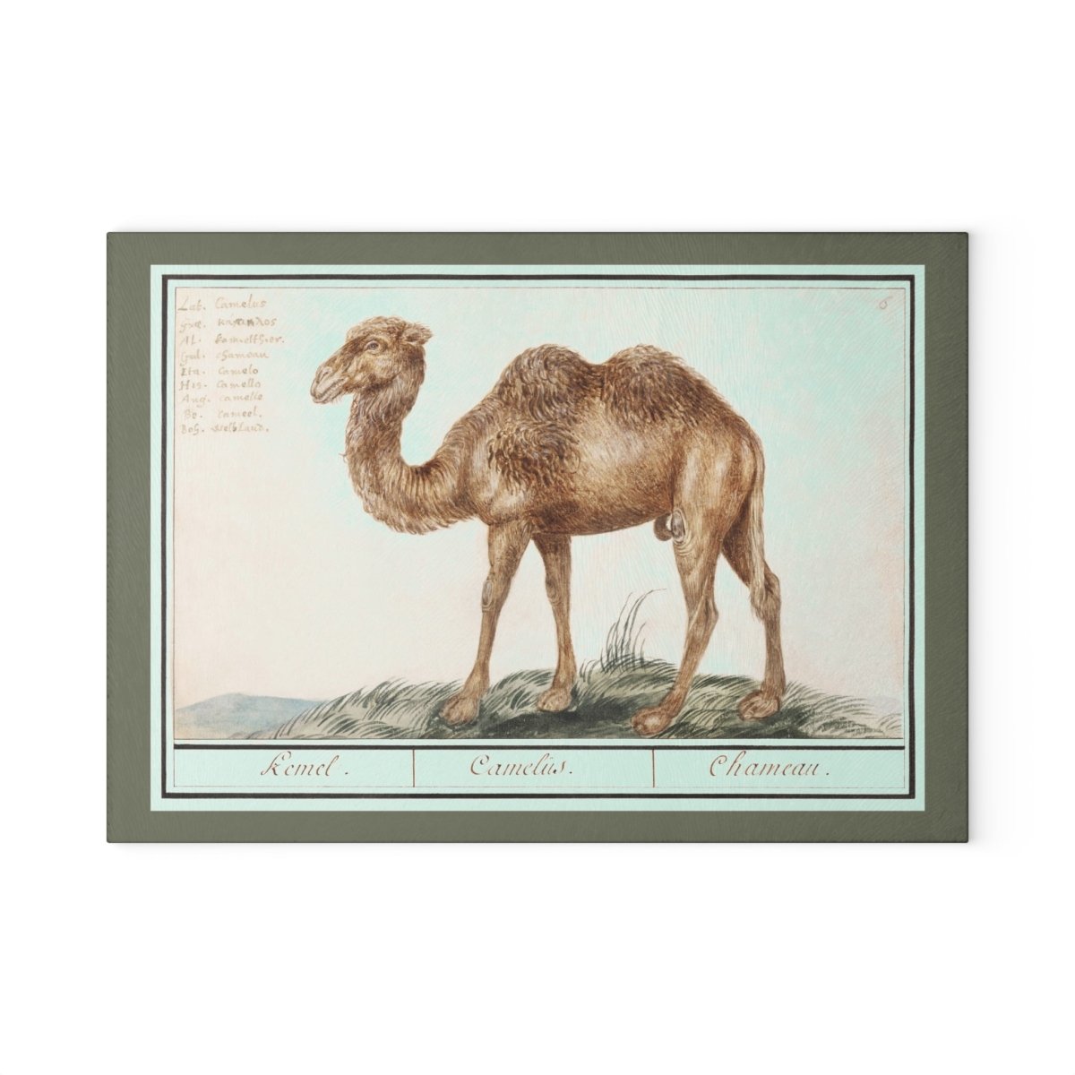 Camel | Glass Chopping Board - Glass Chopping Board - Piccolo Fiore Prints