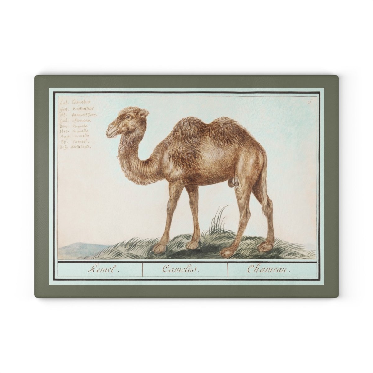 Camel | Glass Chopping Board - Glass Chopping Board - Piccolo Fiore Prints