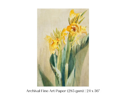 Cana Lily | P61 - Single Art Prints - Piccolo Fiore Prints