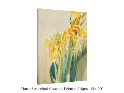Cana Lily | P61 - Single Art Prints - Piccolo Fiore Prints