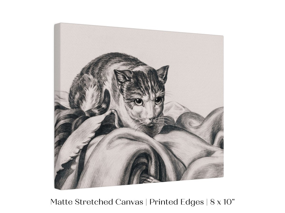 Cat Sitting in a Basket Sketch | P214 - Single Art Prints - Piccolo Fiore Prints