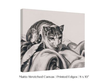Cat Sitting in a Basket Sketch | P214 - Single Art Prints - Piccolo Fiore Prints