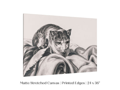 Cat Sitting in a Basket Sketch | P214 - Single Art Prints - Piccolo Fiore Prints