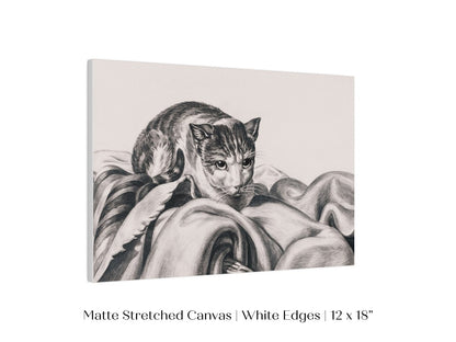 Cat Sitting in a Basket Sketch | P214 - Single Art Prints - Piccolo Fiore Prints