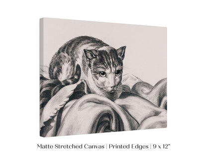 Cat Sitting in a Basket Sketch | P214 - Single Art Prints - Piccolo Fiore Prints