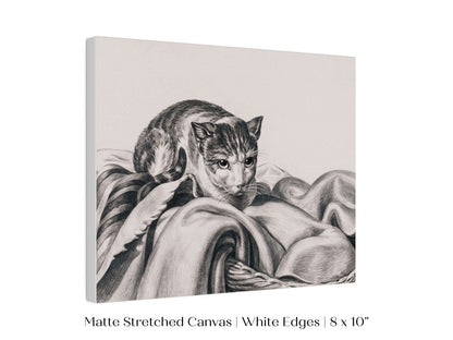 Cat Sitting in a Basket Sketch | P214 - Single Art Prints - Piccolo Fiore Prints