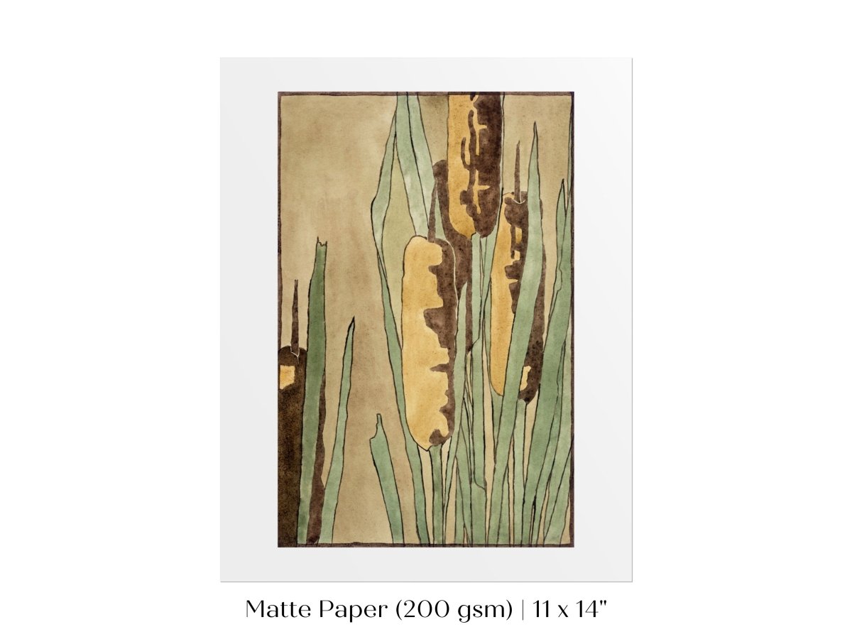 Cattails | P190 - Single Art Prints - Piccolo Fiore Prints