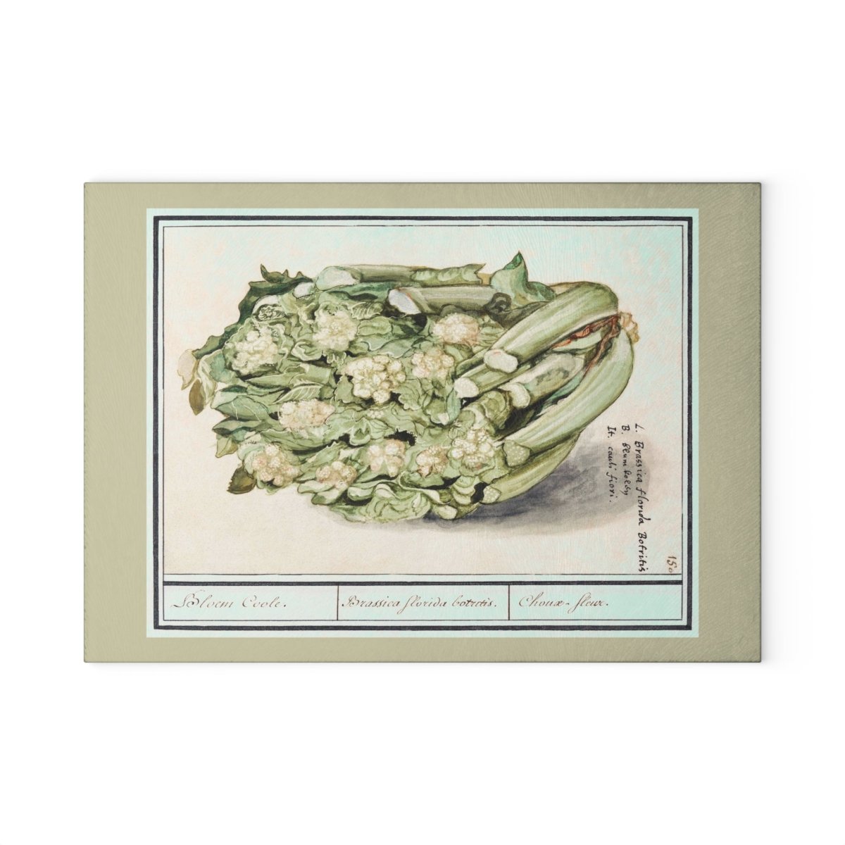 Cauliflower | Glass Chopping Board - Glass Chopping Board - Piccolo Fiore Prints