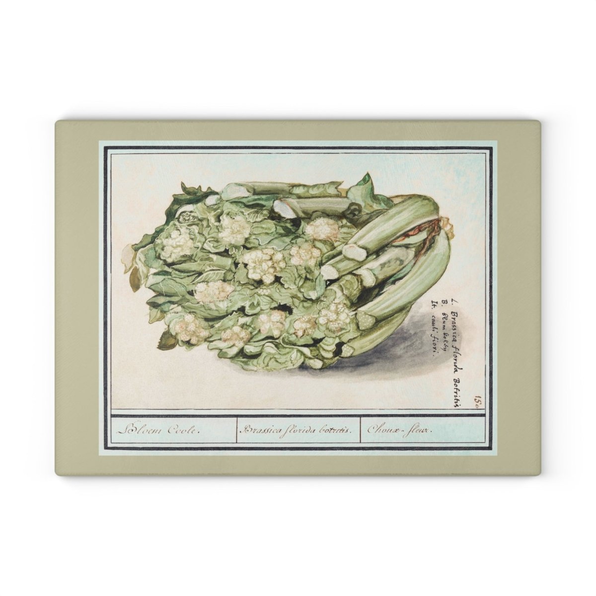 Cauliflower | Glass Chopping Board - Glass Chopping Board - Piccolo Fiore Prints