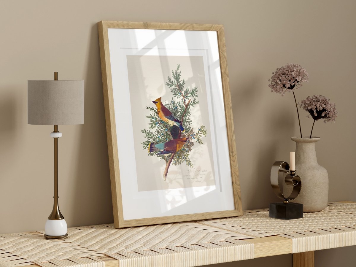 Cedar Bird Illustration | P378 - Single Art Prints - Piccolo Fiore Prints