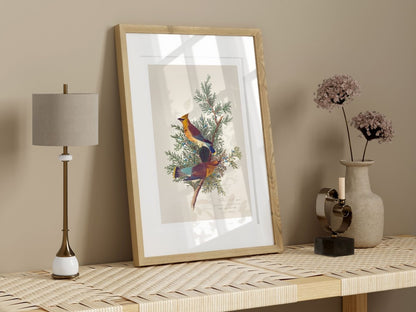 Cedar Bird Illustration | P378 - Single Art Prints - Piccolo Fiore Prints